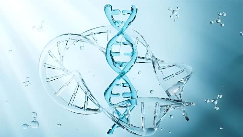 RNA Therapy Makes CAR-T in the Body a Reality