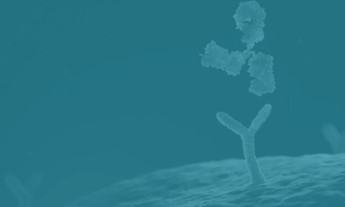 ADC Summit, USA 2026
